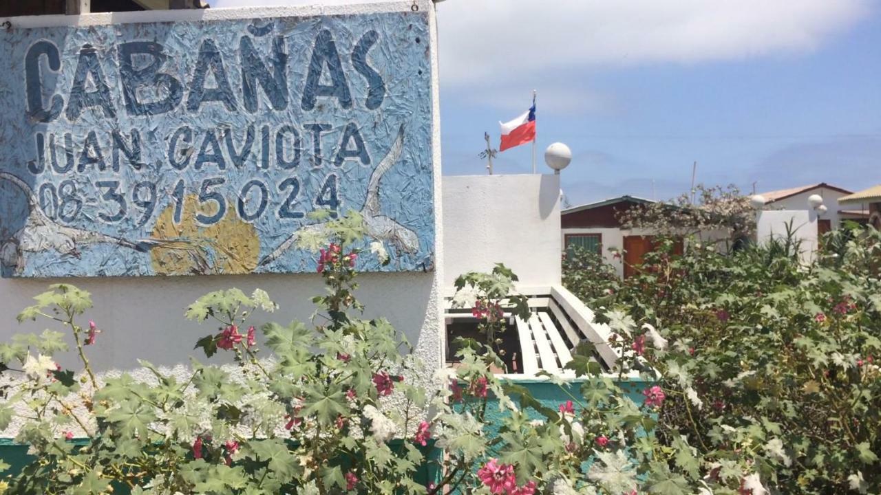 Cabanas Juan Gaviota Punta de Choros Exterior photo